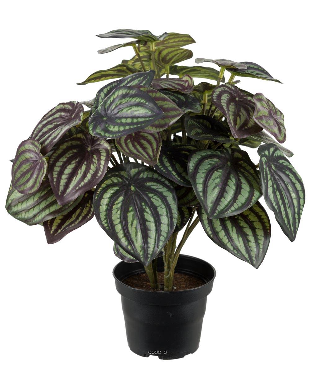 Peperomia fausse plante en pot lesté H30cmD25, ARTIFICIELLES
