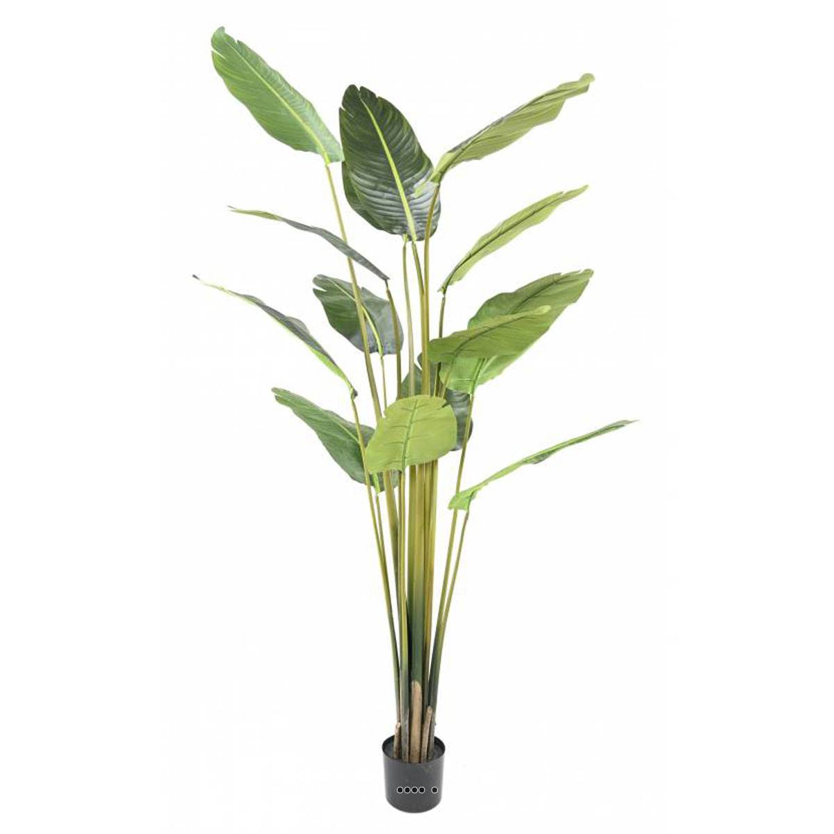 Palmier Arbre du voyageur artificiel H 220 cm, ARTIFICIELLES
