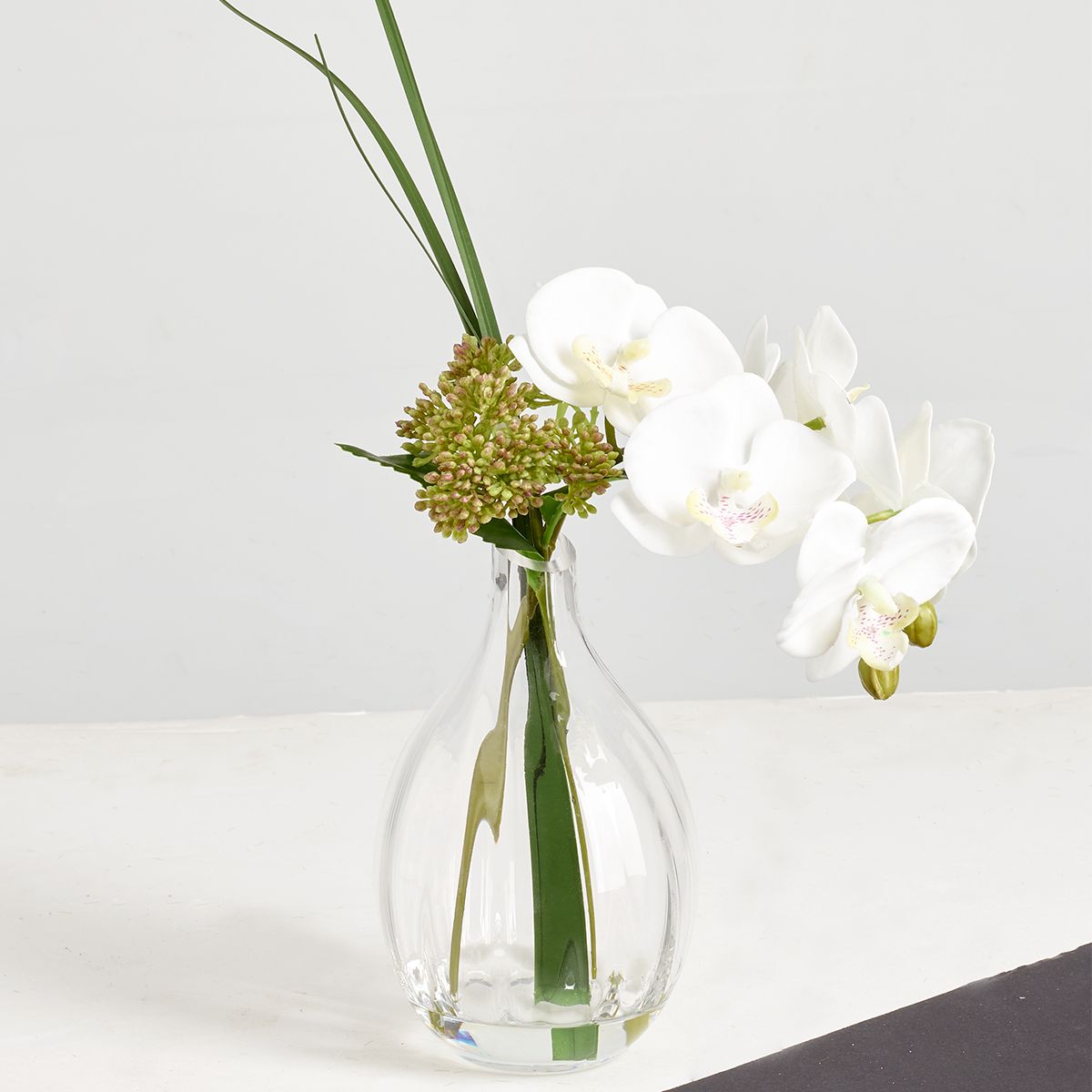 Orchidée en pot felicia Couleur blanc Sia | La Redoute