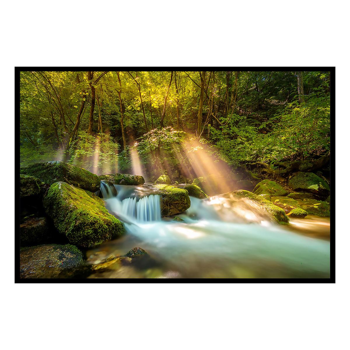 Affiche encadrée ruisseau en forêt baigné de lumière, HEXOA