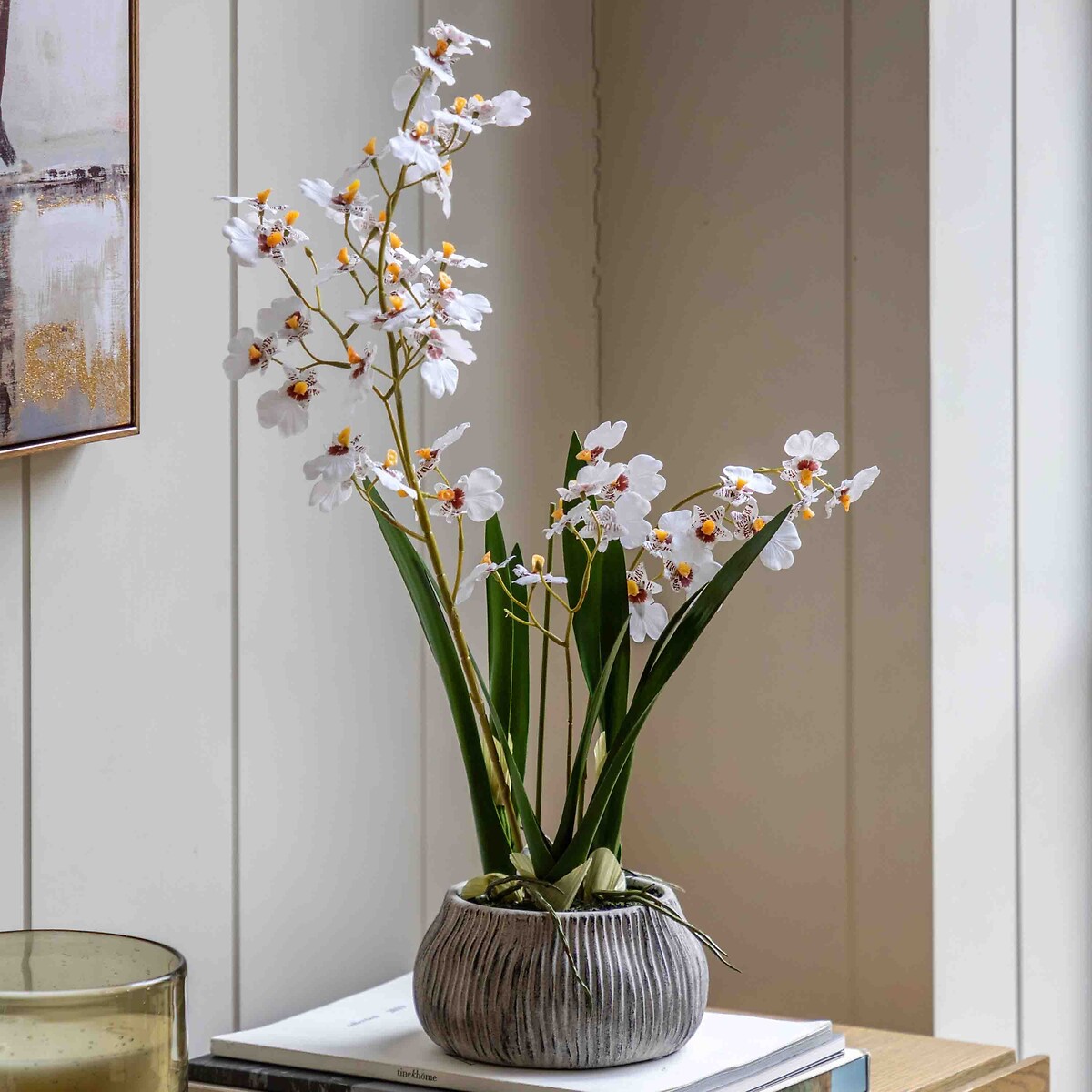 58cm Orchid in Low Ceramic Pot, ÉDITÉ