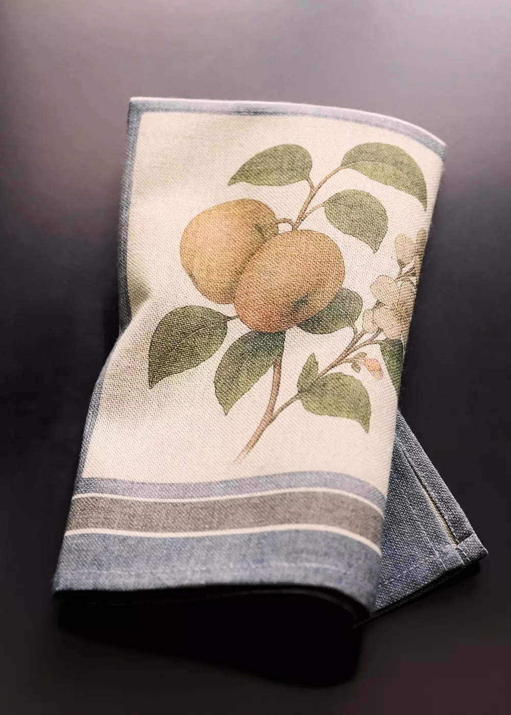 Serviettes de table en coton à imprimé herbier, MANGO HOME