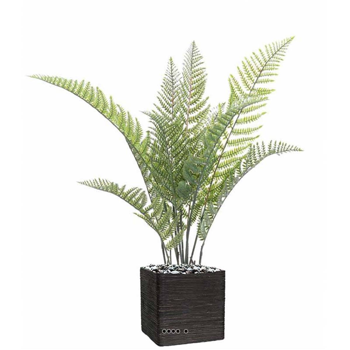 Fougère arborescente Cyathea artificielle, ARTIFICIELLES