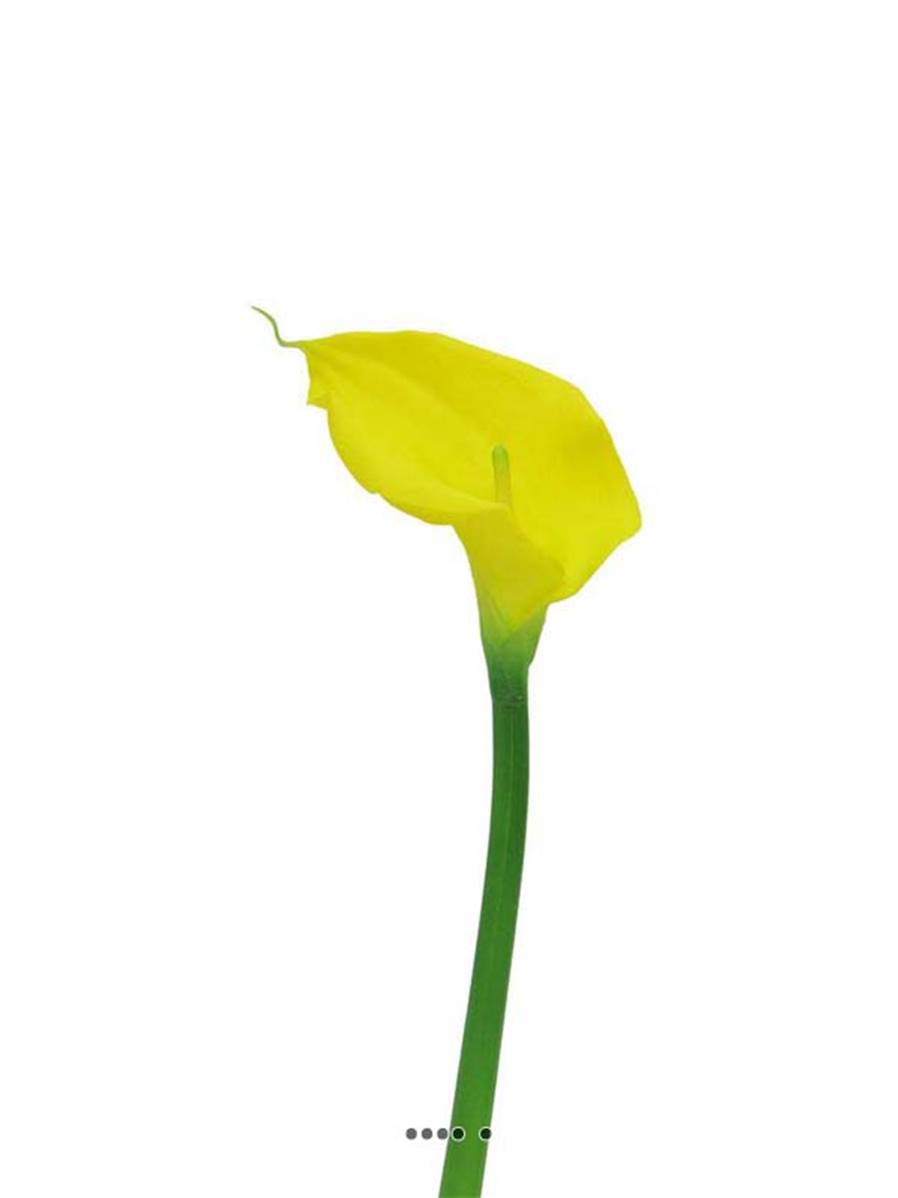 Arum calla artificiel, fleur touché réel,, ARTIFICIELLES