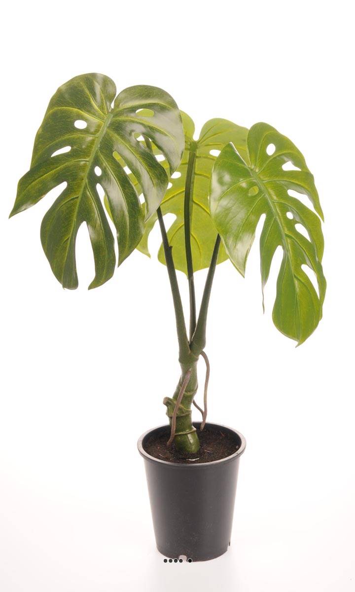 Monstera deliciosa artificielle en pot H 60, ARTIFICIELLES