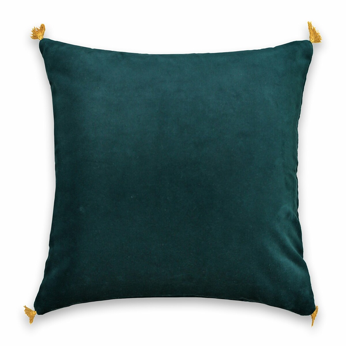 Paula Square Tassel Velvet Pillowcase