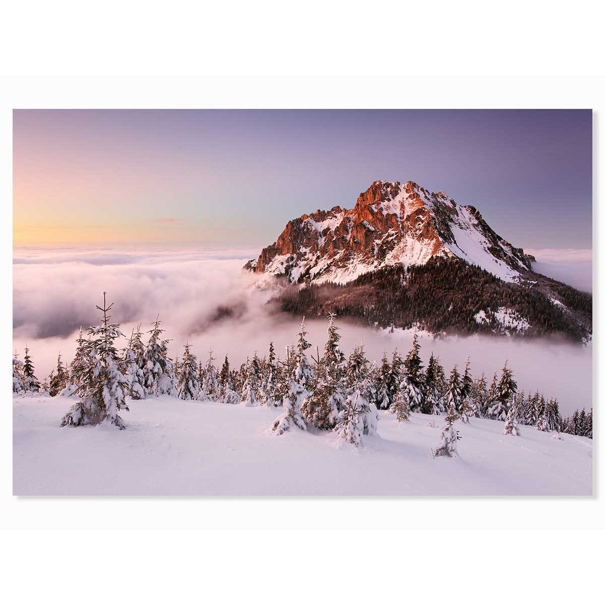 Step mountain. Зима горный пейзаж фото. Горная вершина деревьев зима. 35 Фото ру зимний горный пейзаж.