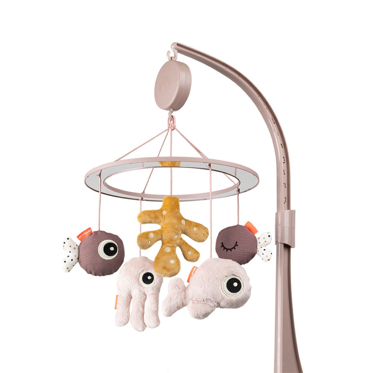 Miroir Chambre Bebe La Redoute Miroir Chambre Bebe La Redoute
