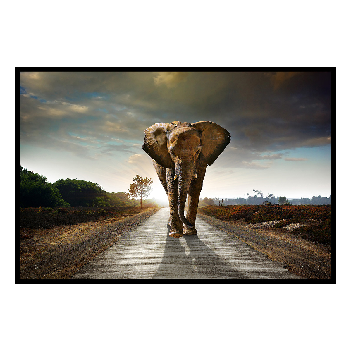 Affiche encadrée – Éléphant solitaire sur la route, puissance et liberté, HEXOA
