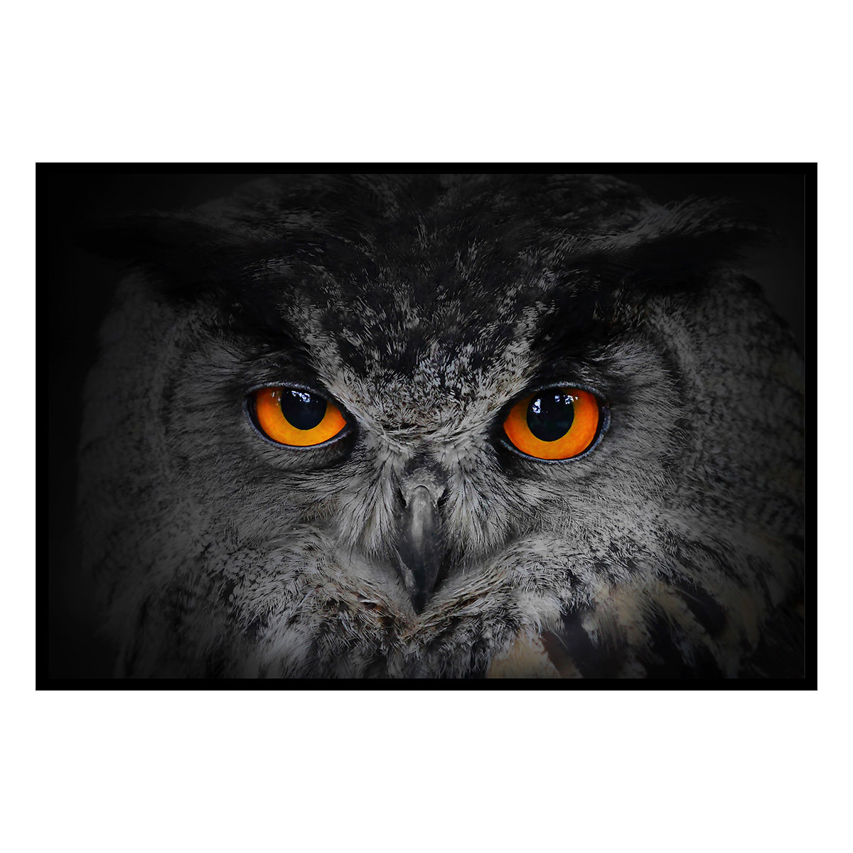 Affiche encadrée – Hibou aux yeux orange, regard hypnotique, HEXOA