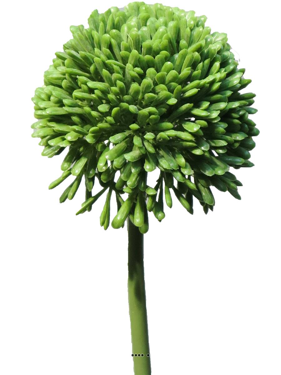 Allium artificiel en tige H 45 cm Vert, ARTIFICIELLES