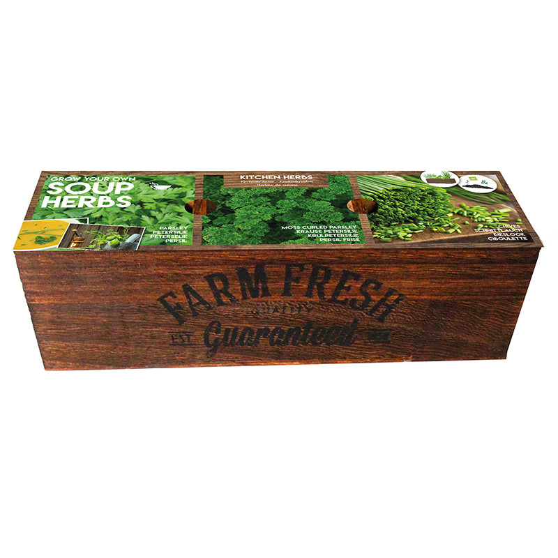 Kit prêt à pousser - Herbes à soupes, FLOREX