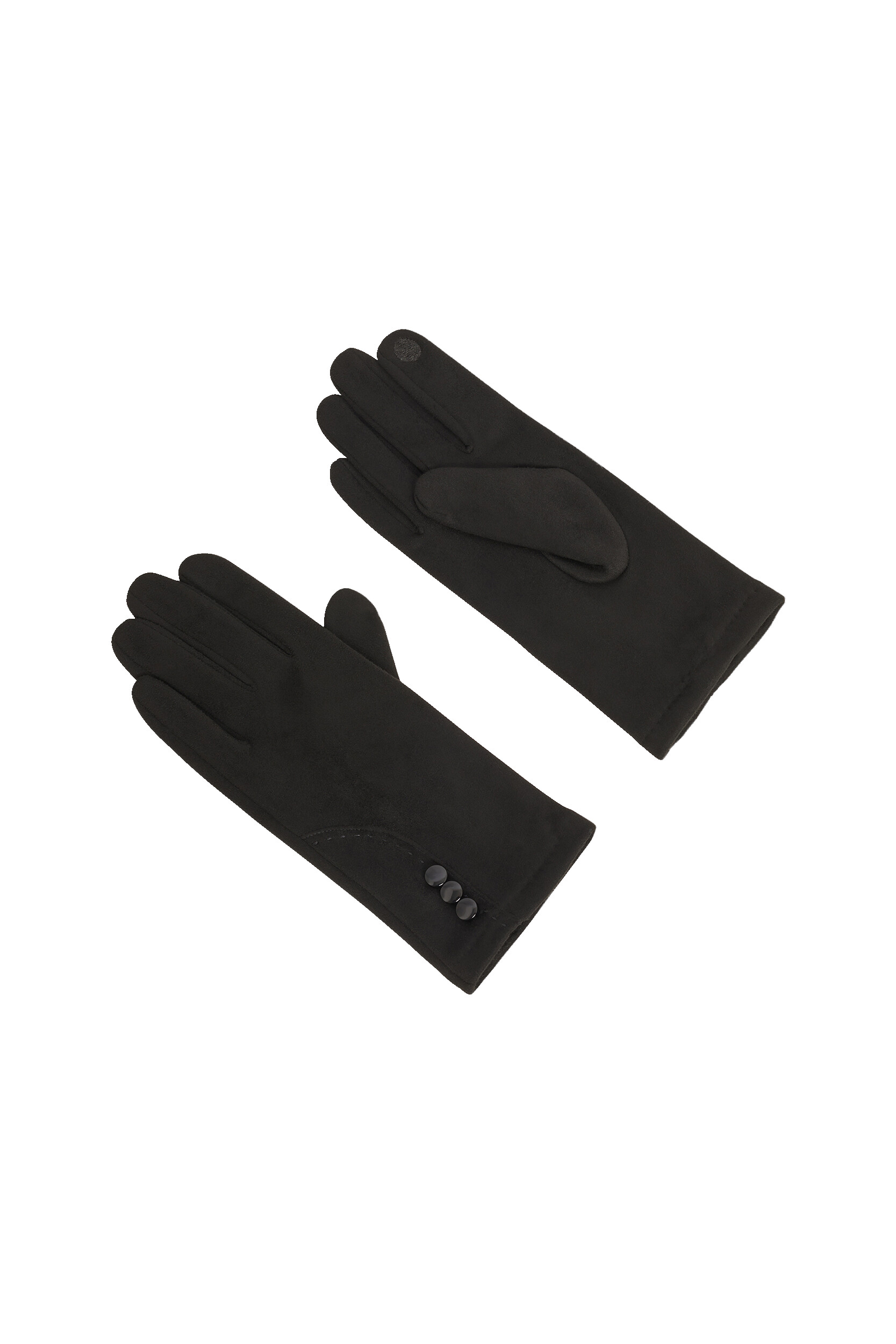 Gants raffinés NELLY, CAROLL