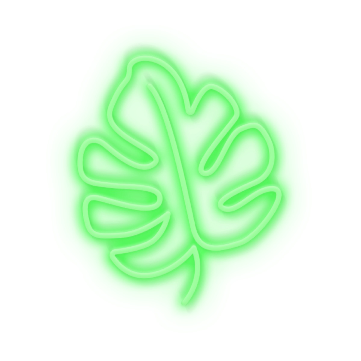 Eclairage néon LEAF, CANDYSHOCK