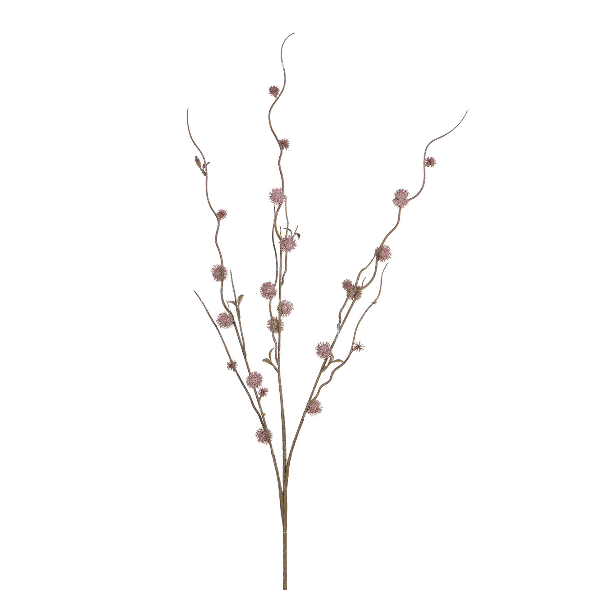 Branche de chardon artificiel H88 LES ESSENTIELS, SIA
