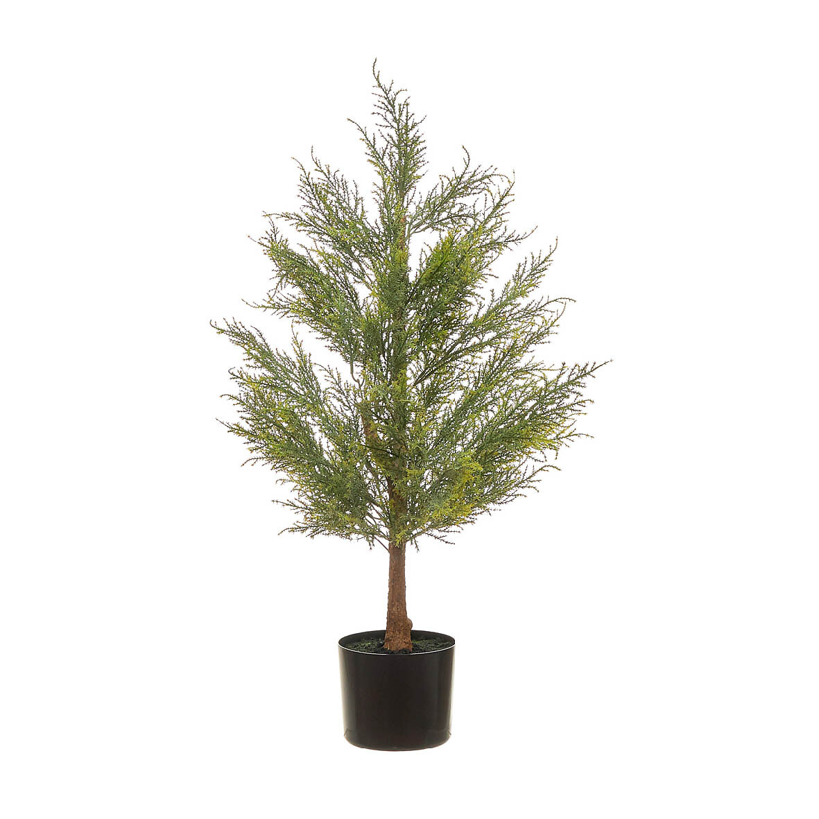 Planta artificial "Cypress" 90cm, BORGHESI, BORGHESI