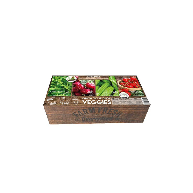 Carré de Potager Légumes avec mini serres, FLOREX