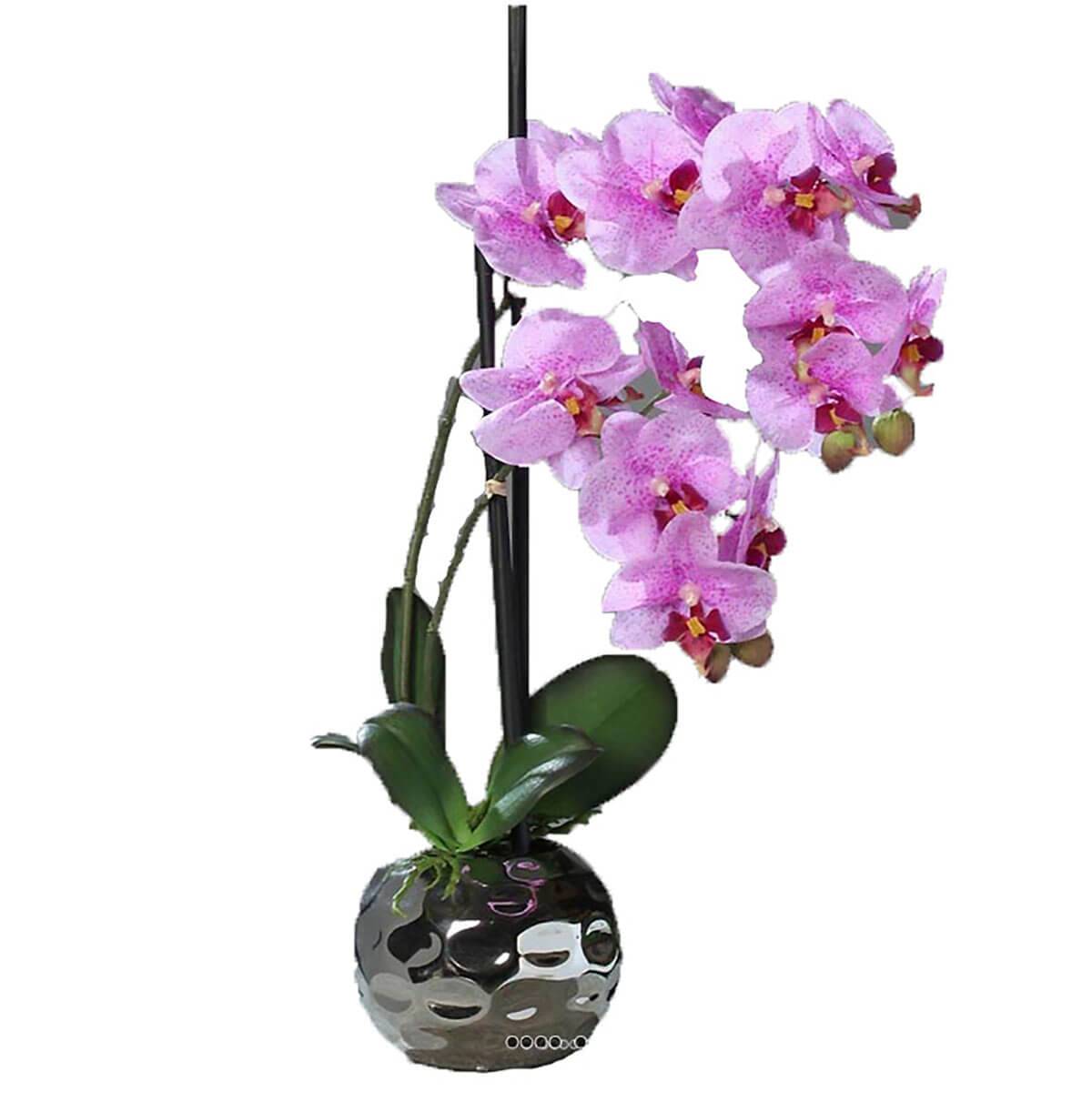 Orchidee artificielle 2 hampes en boule, ARTIFICIELLES