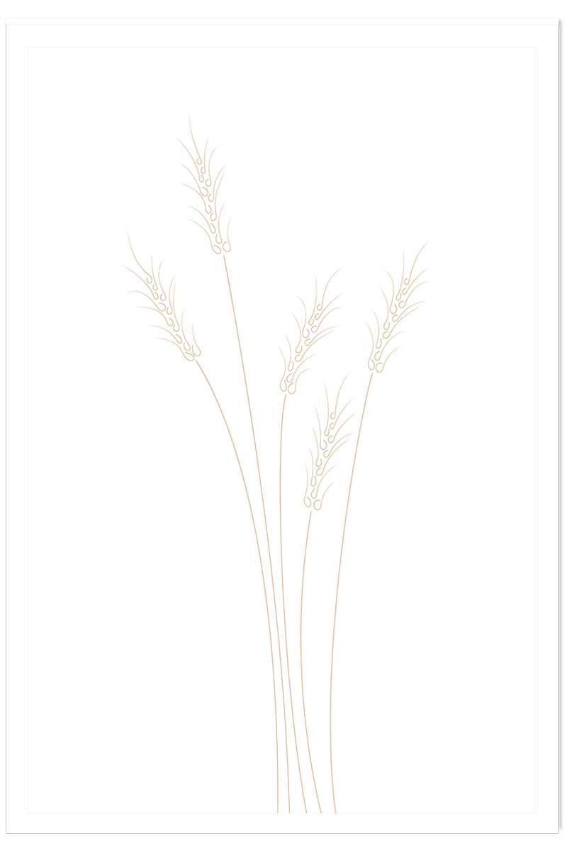 Affiche scandi blés, HEXOA