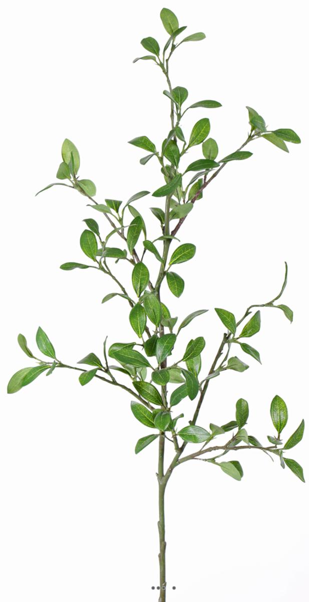 Troène Vert artificiel en branche H 105 cm, ARTIFICIELLES