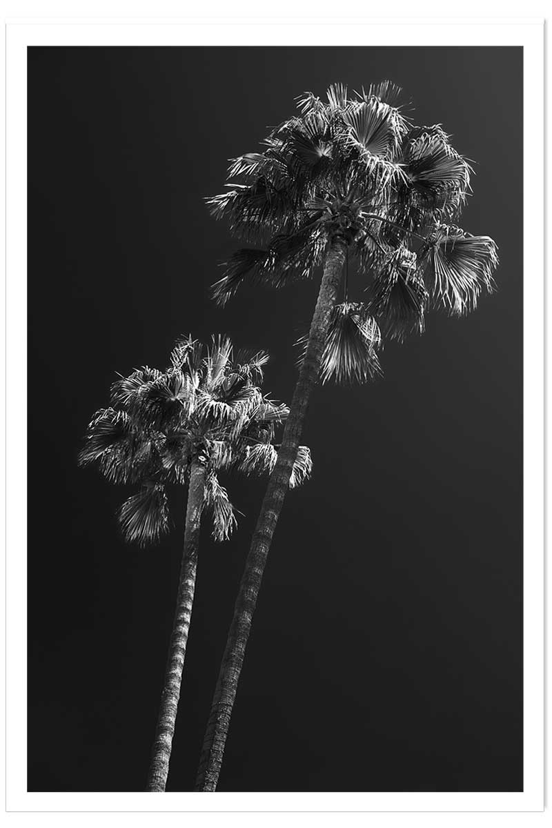 Affiche paysage Ambiance Californie, HEXOA