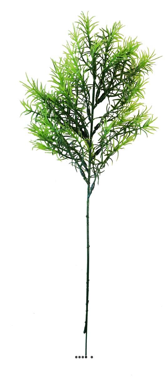 Asparagus Sprengeri en pic plastique artifi, ARTIFICIELLES