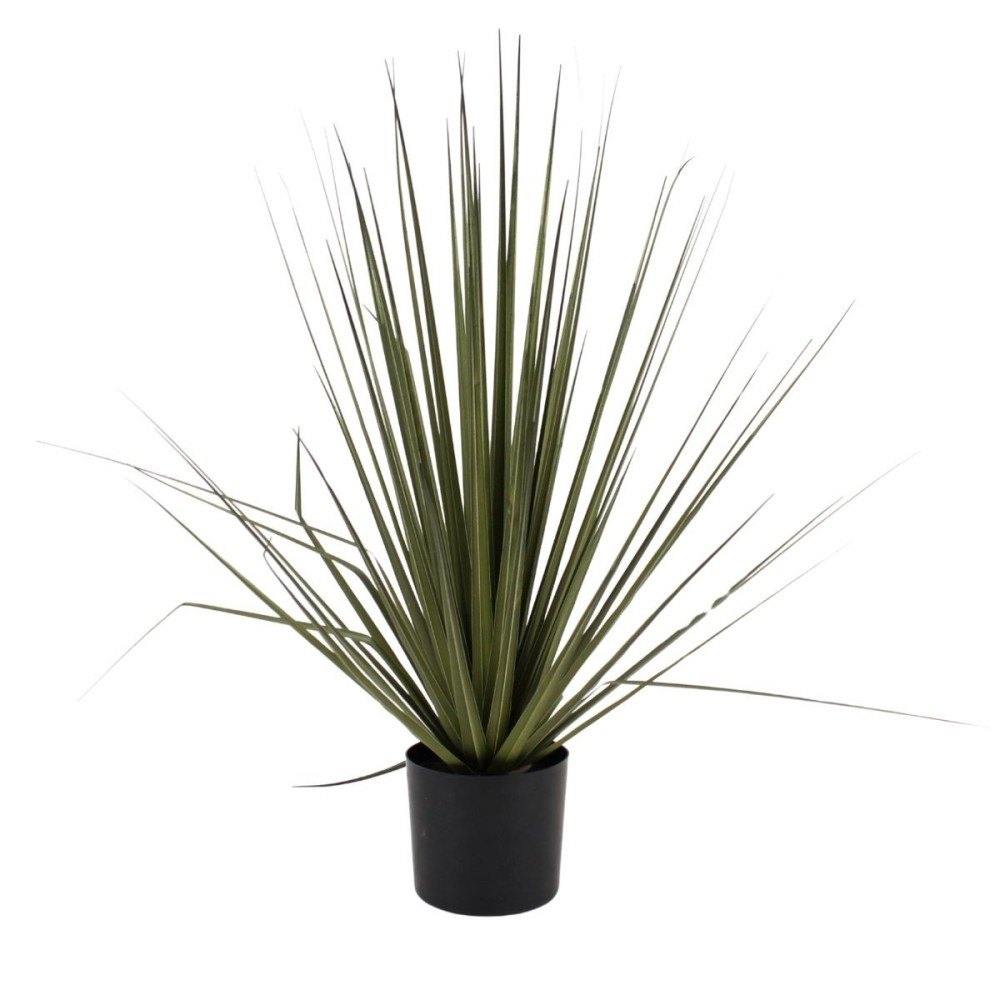 Plante artificielle asparaga 66cm, ORNAMI