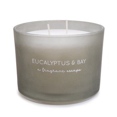 Eucalyptus and Bay Two Wick Candle SO'HOME