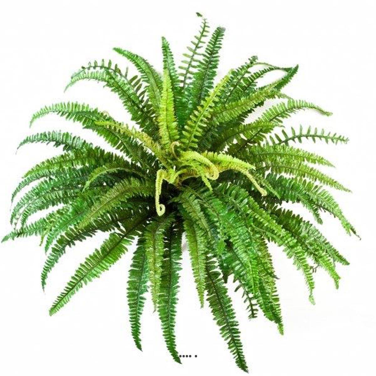 Fougère des forêts 57 feuilles D 70 cm artifi, ARTIFICIELLES