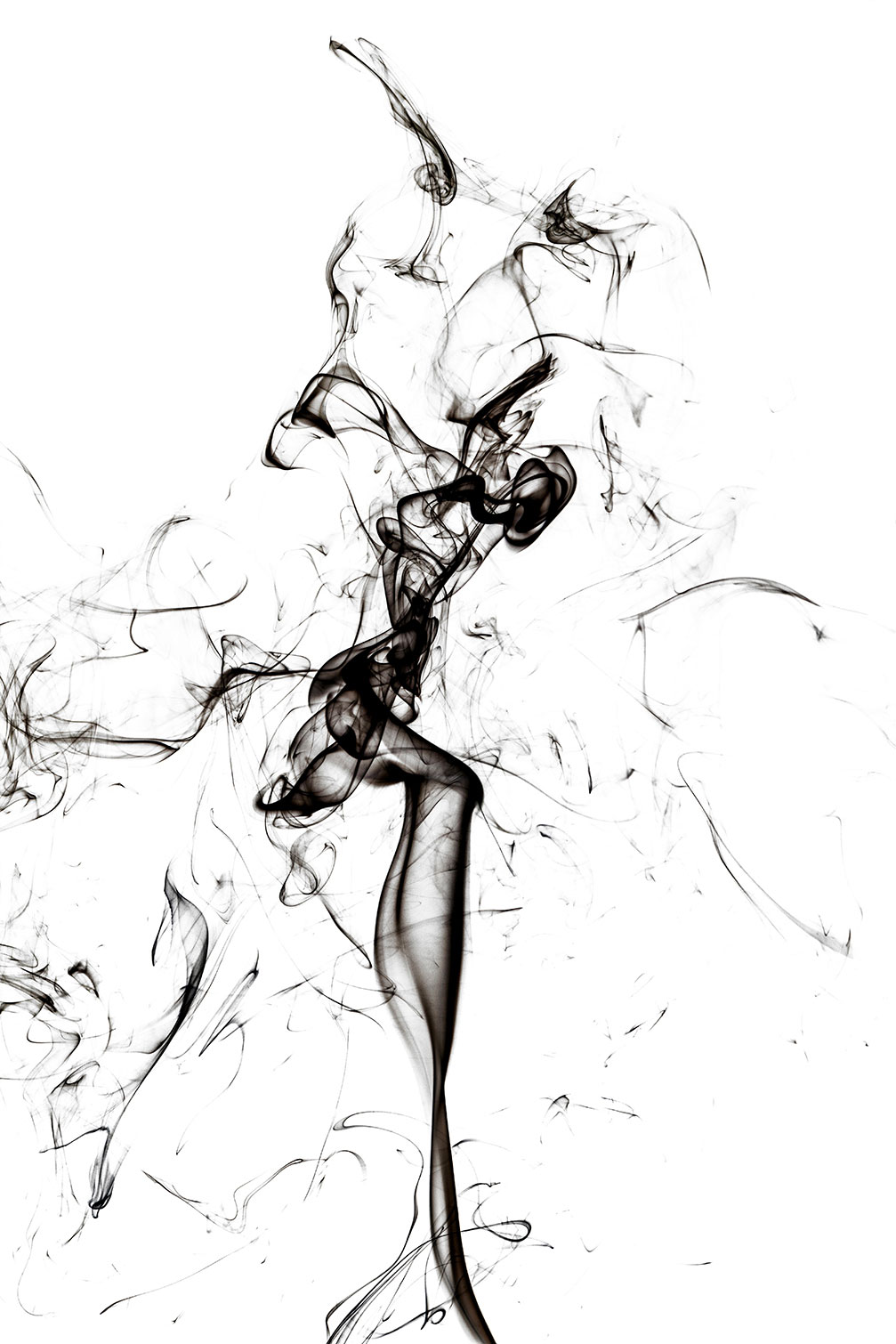 Tableau black smoke tulip dream, HEXOA