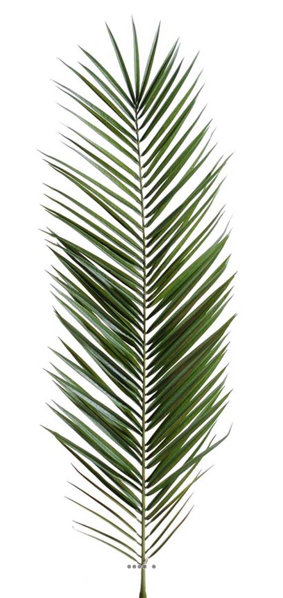 Feuille de palmier Phoenix artificielle, ARTIFICIELLES