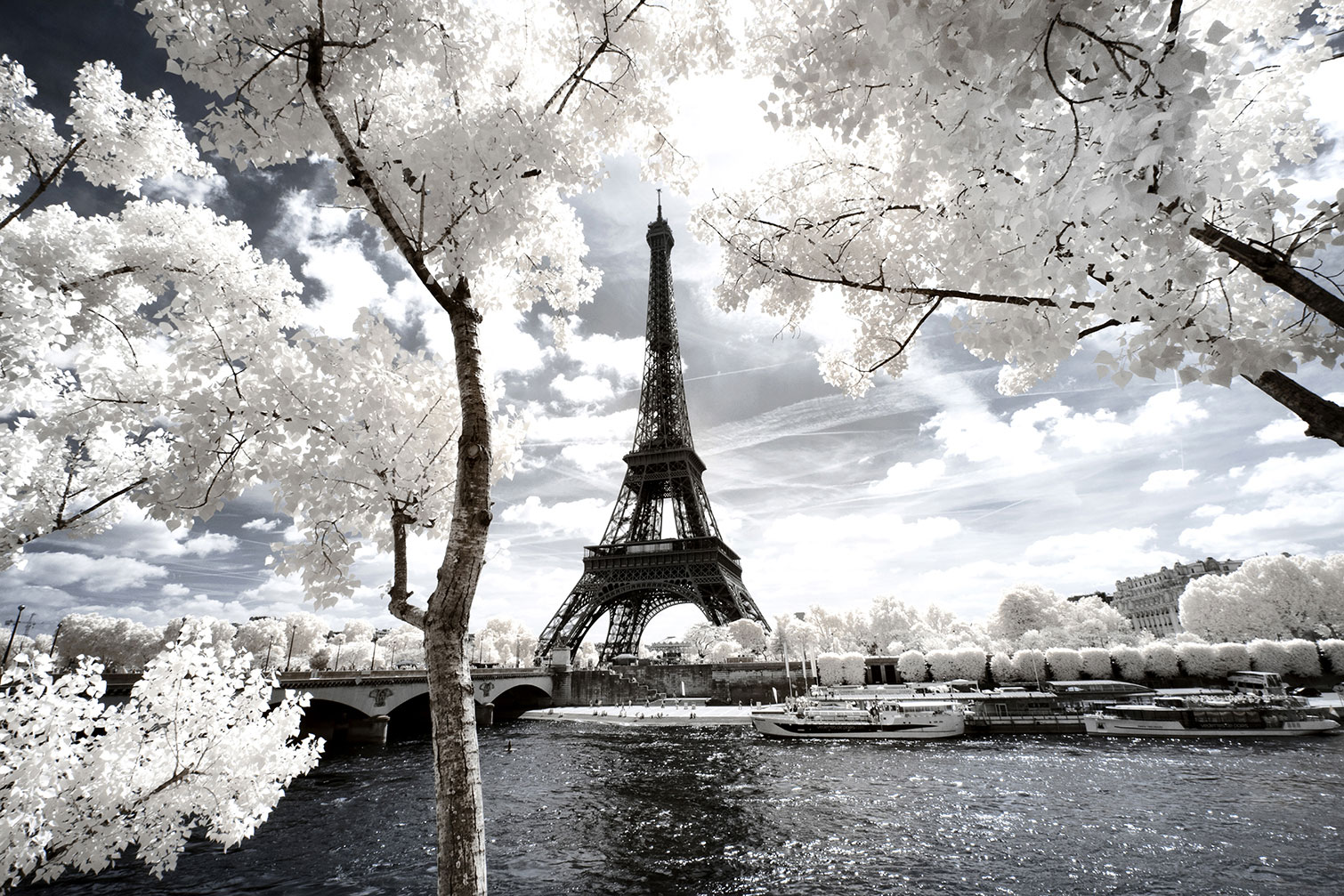 Tableau paris tour eiffel blanche, HEXOA