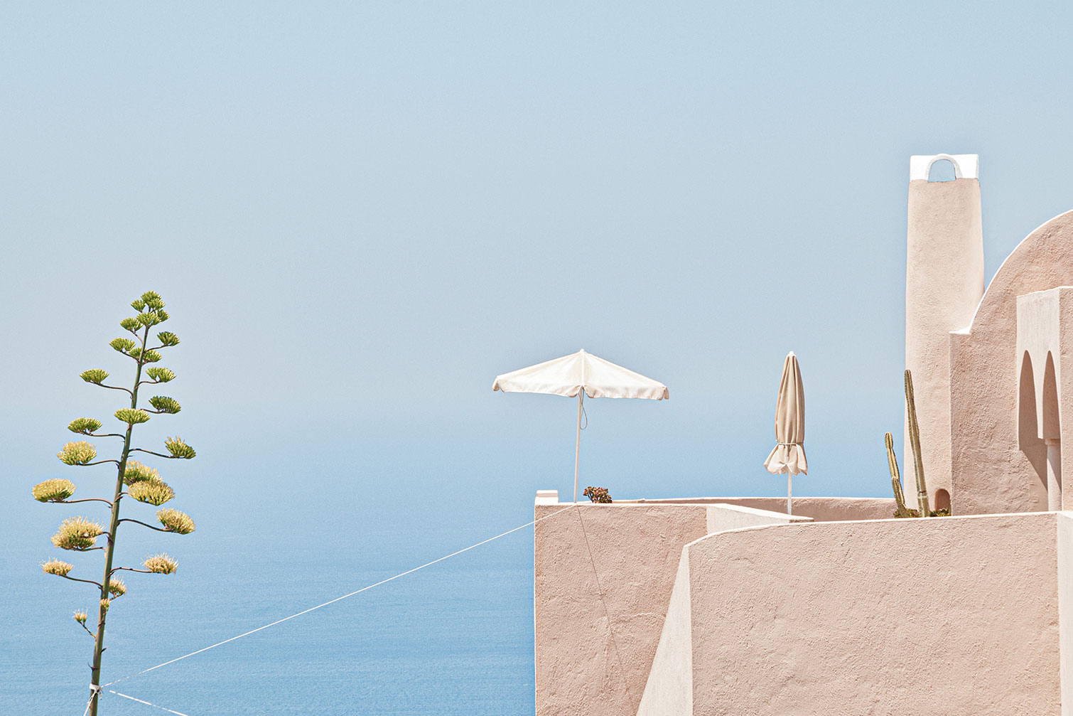 Tableau agave au bord de mer, HEXOA