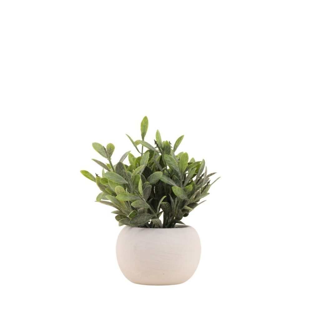 Plante artificielle pot ciment blanc 18cm, ORNAMI