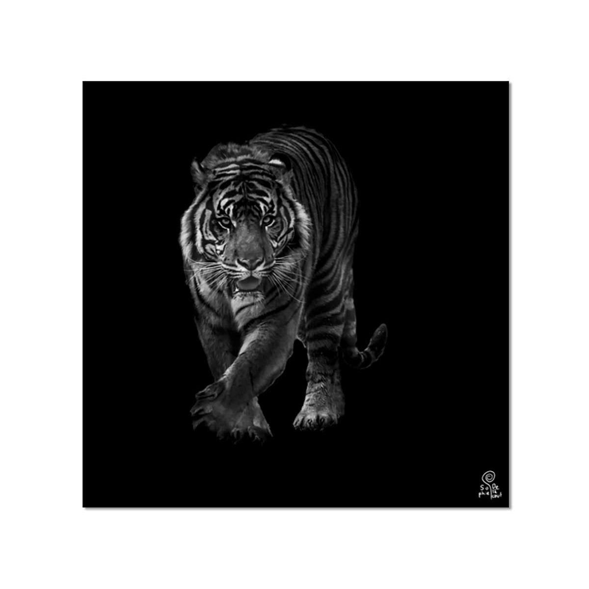 Tableau Animaux Tigre En Approche Hexoa La Redoute