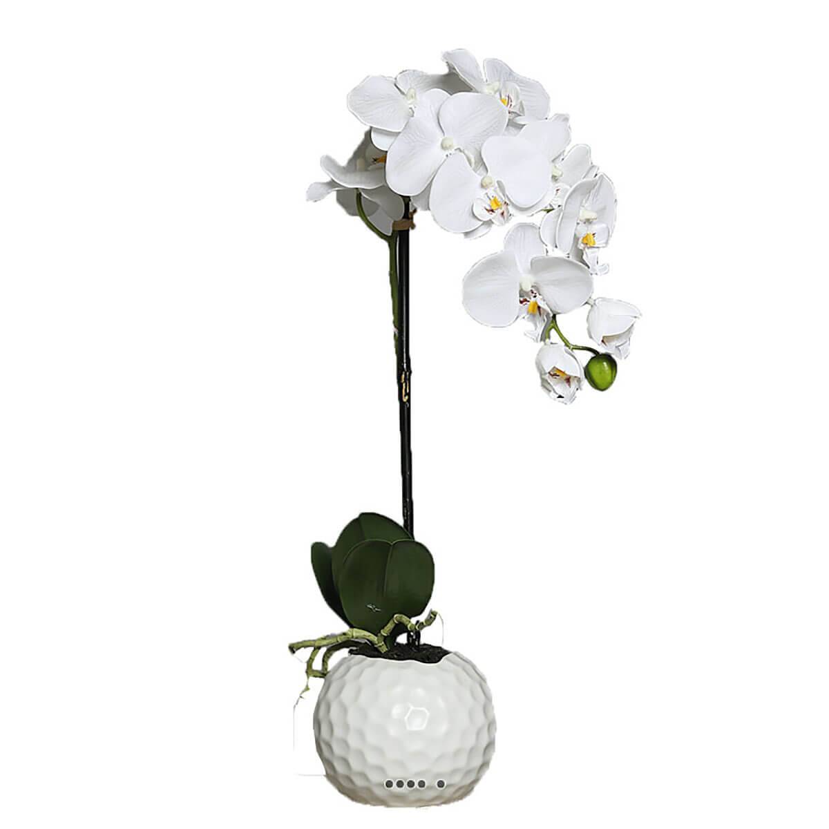 Orchidee artificielle crème 1 hampe en pot Ce, ARTIFICIELLES