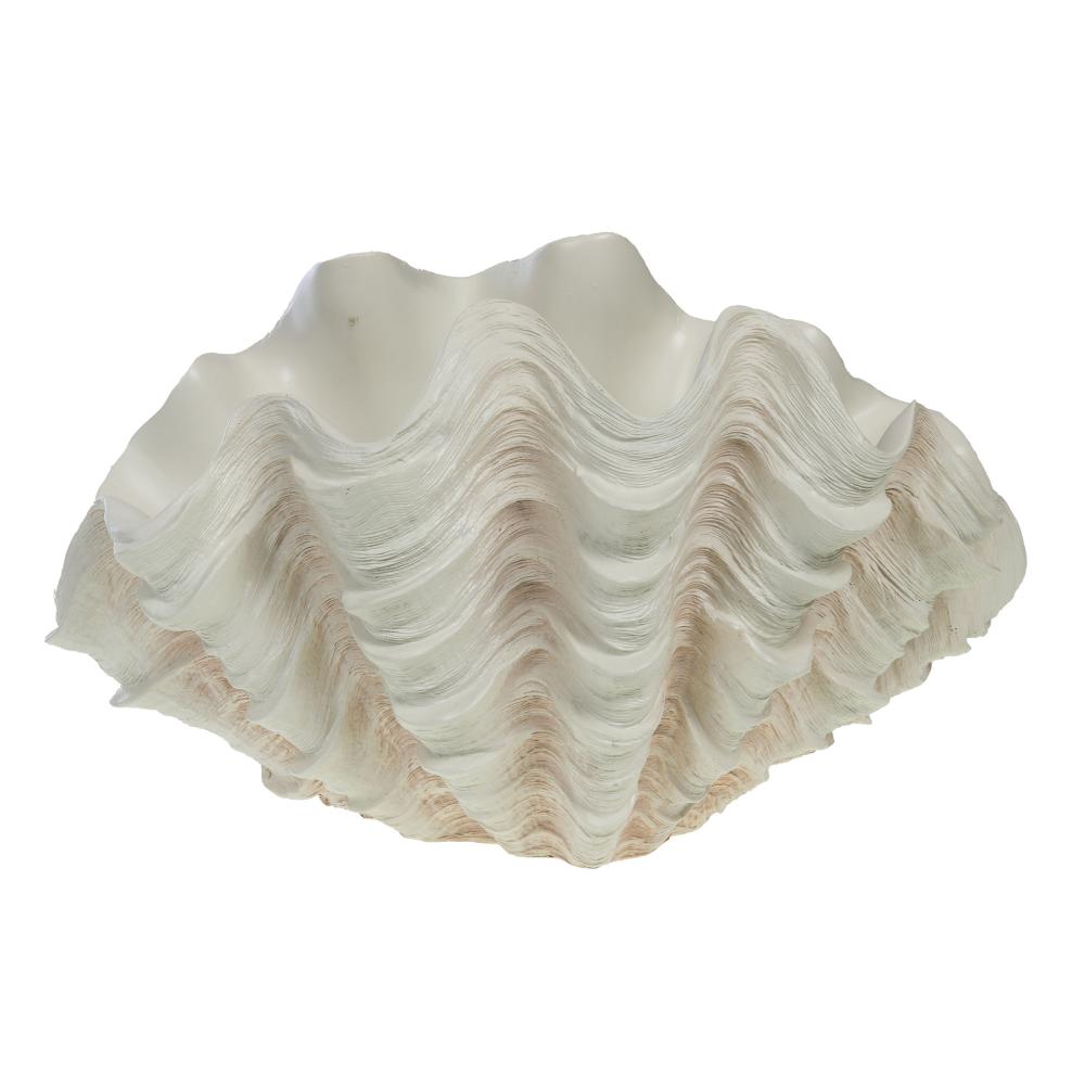 Coupe Coquillage Benitier XXL, AMADEUS