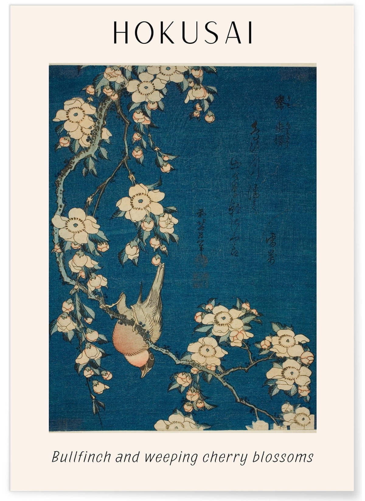 Affiche Hokusai 'Bullfinch and weeping cherry blossoms', L'AFFICHERIE