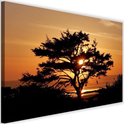Tableau arbre au bord de la mer au coucher du soleil RECOLLECTION