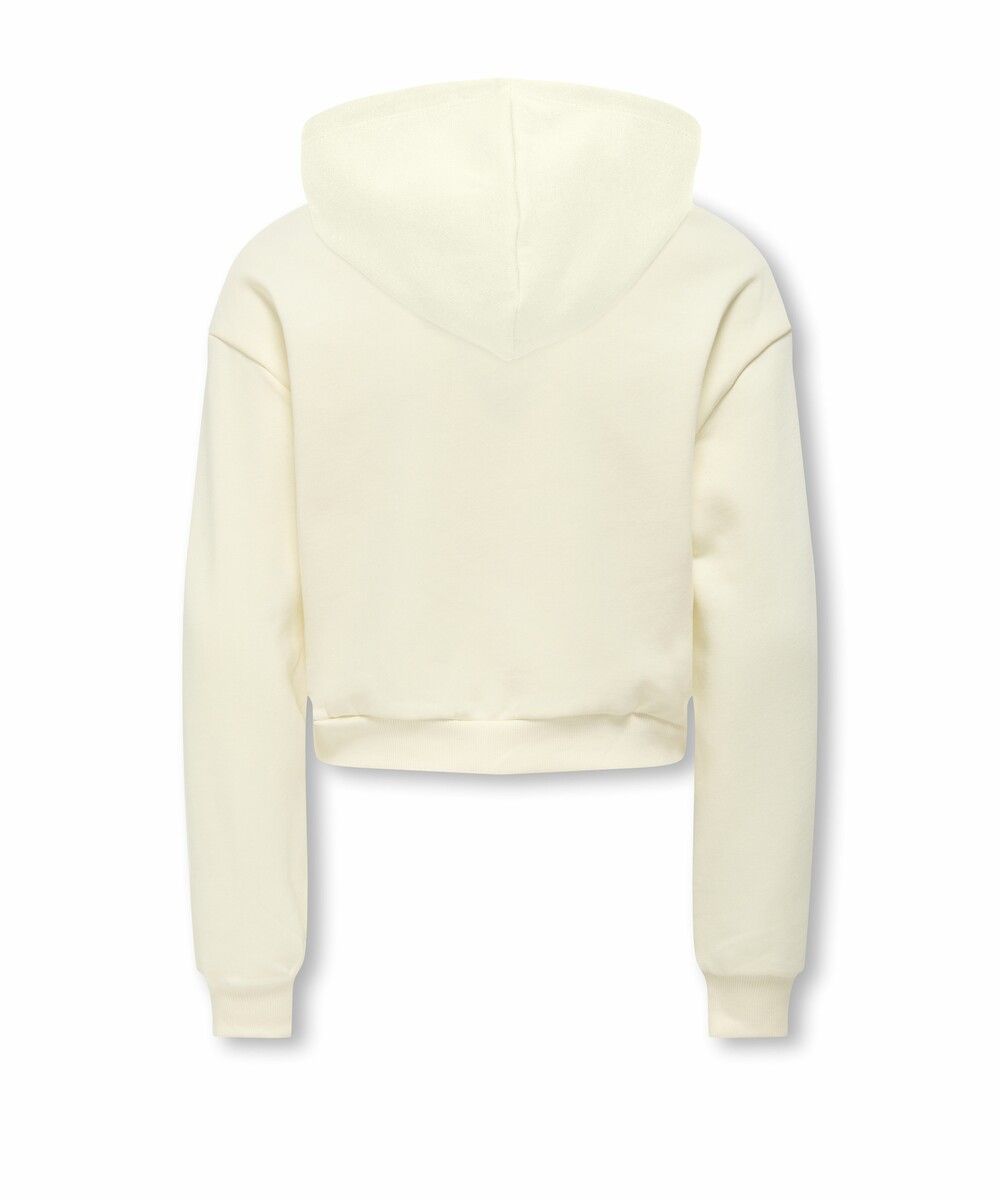 Sweat à Capuche Blanc Vue De Face Et De Dos Isolé Psd Gratuite | PSD