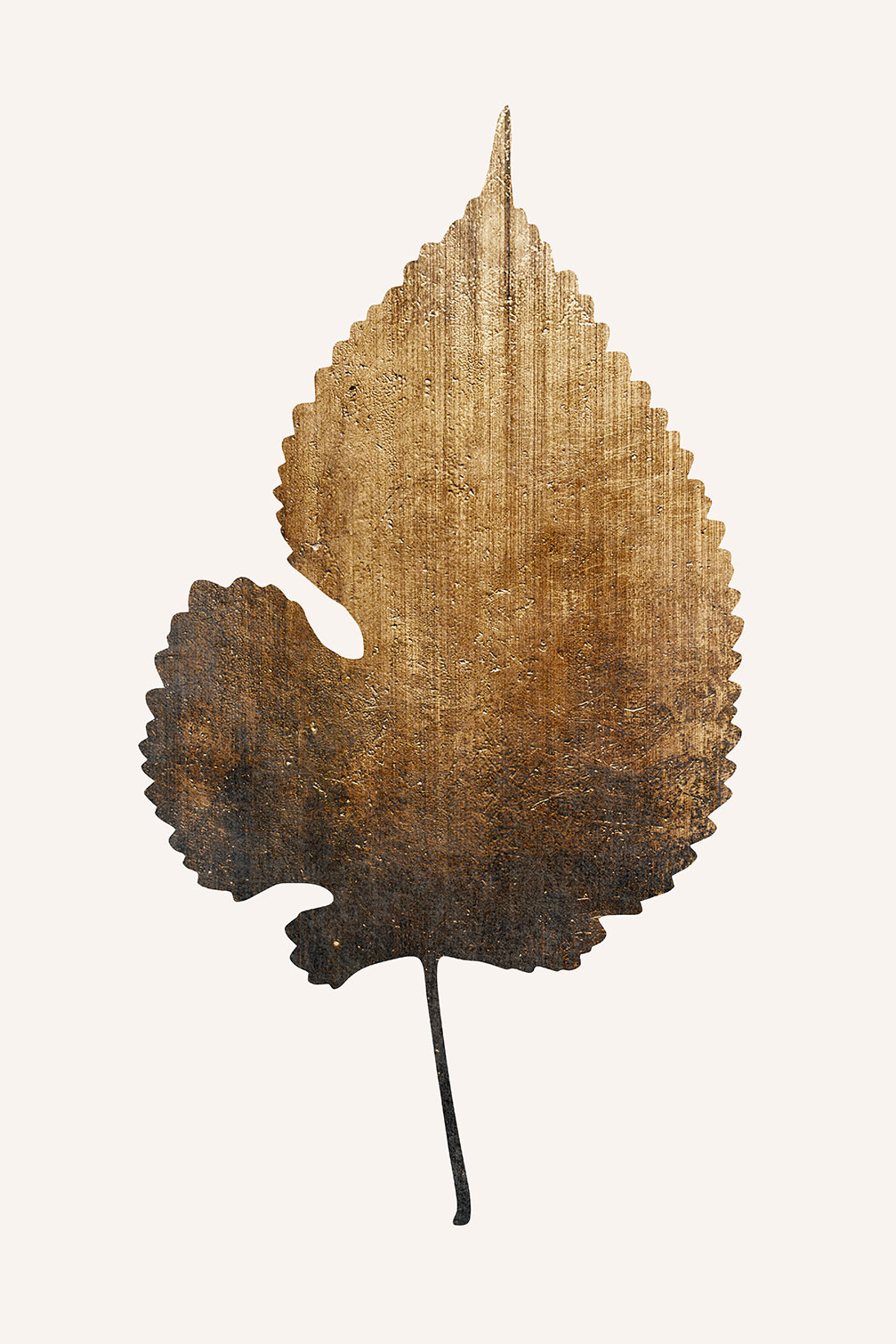 Tableau feuille sauvage dorée, HEXOA