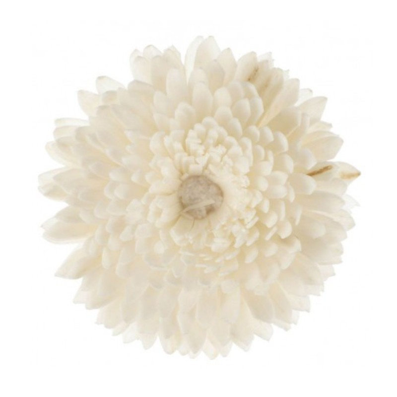 Parfum d'intérieur - Fleur de goatier Christen - CHRISTEN, GOA