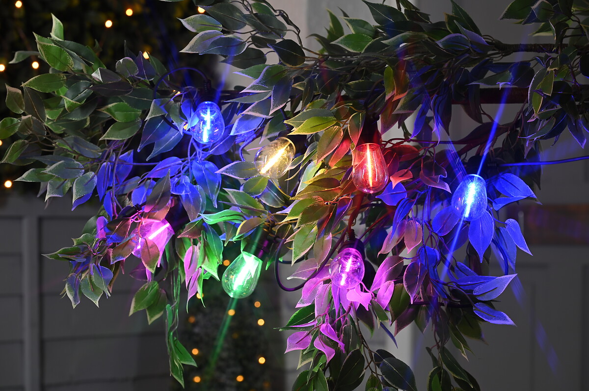 5m 10 -Party Light Filament Bulbs String Light, SO'HOME