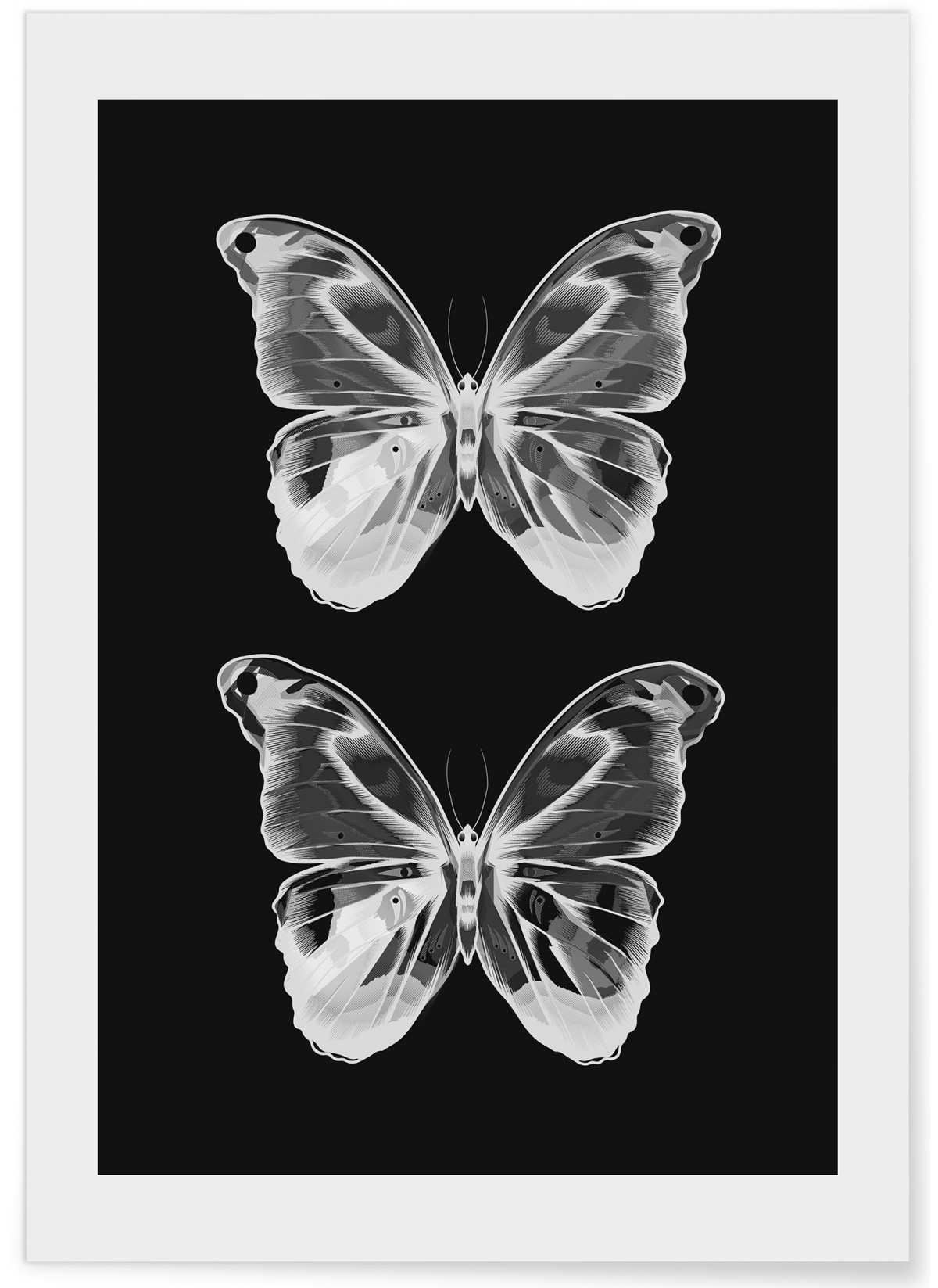 Poster Papillons 2, L'AFFICHERIE