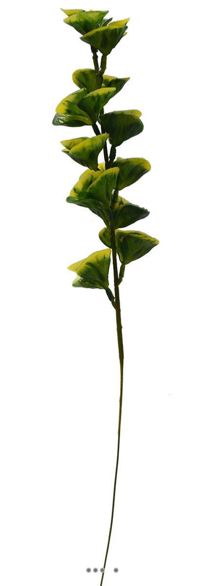 Bupleurum en pic plastique artificiel panache, ARTIFICIELLES