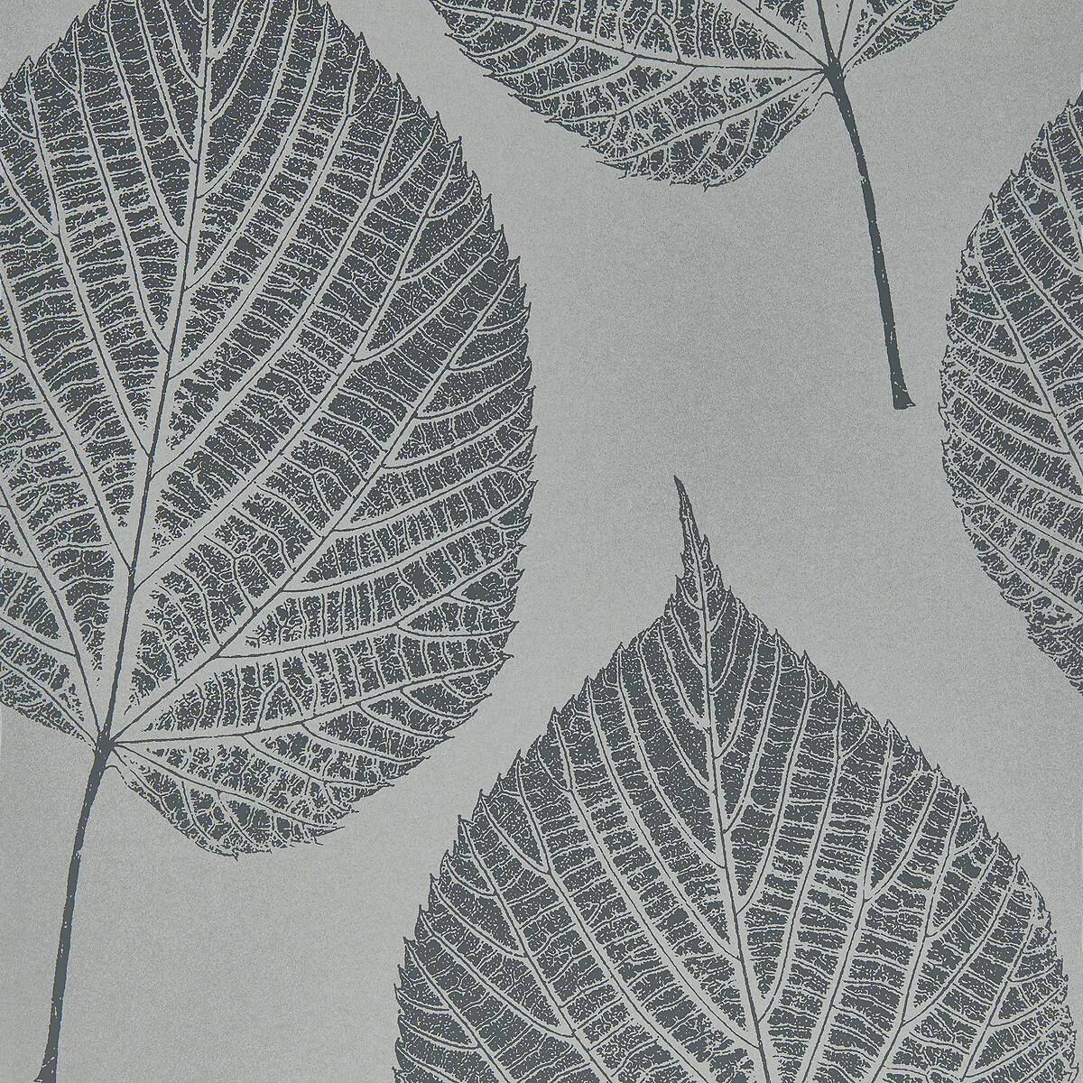 Leaf Wallpaper, HARLEQUIN