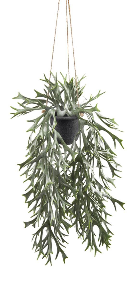 Fougère Platycerium artificielle en pot, ARTIFICIELLES