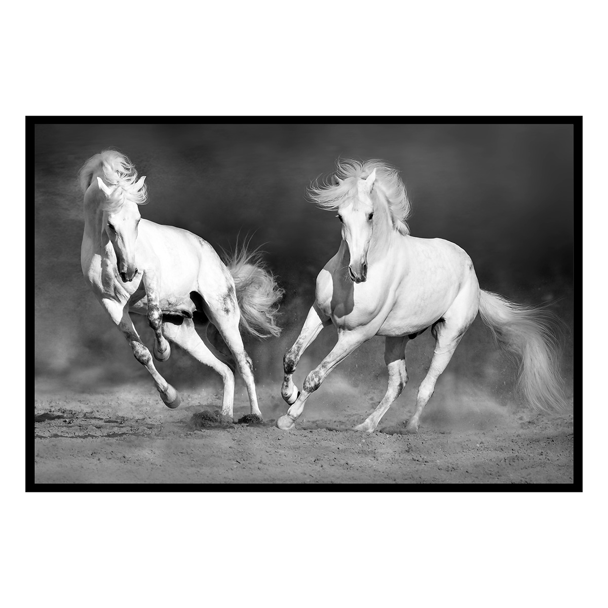 Affiche encadrée chevaux blancs en mouvement, HEXOA