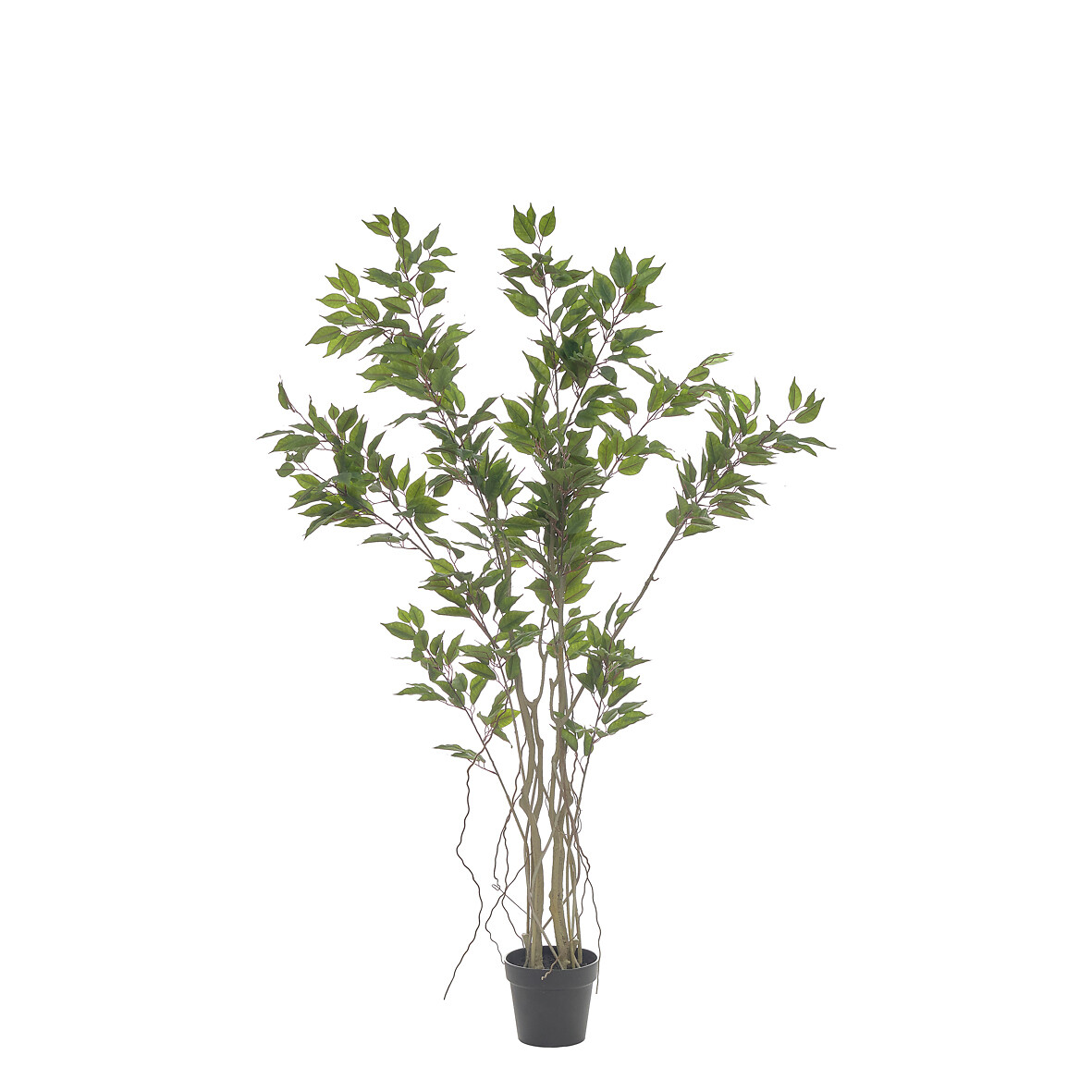 Planta artificial "Ficus" 170cm, BORGHESI, BORGHESI