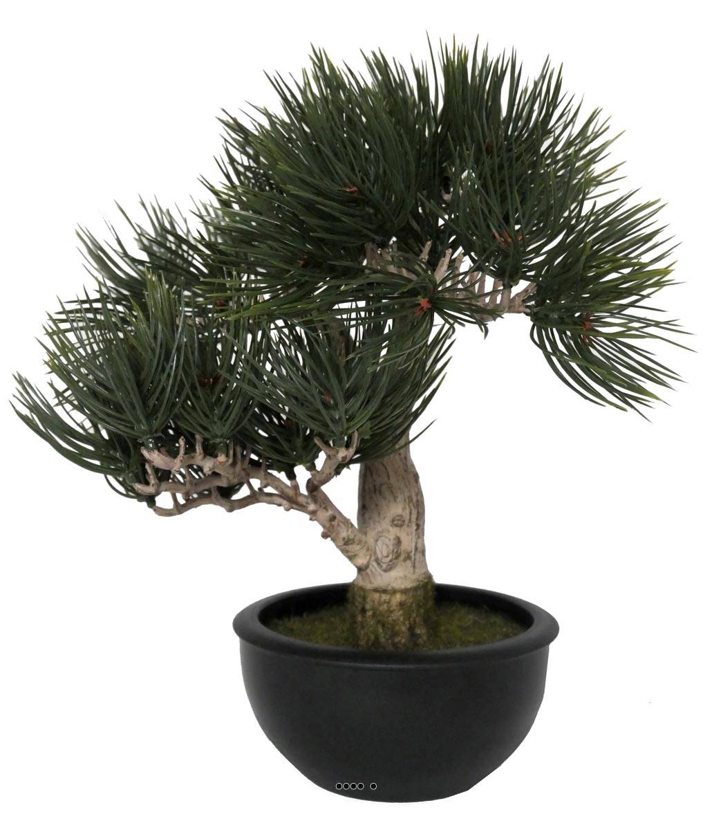 Bonsai Pin artificiel H 33 cm 43 touffes, ARTIFICIELLES
